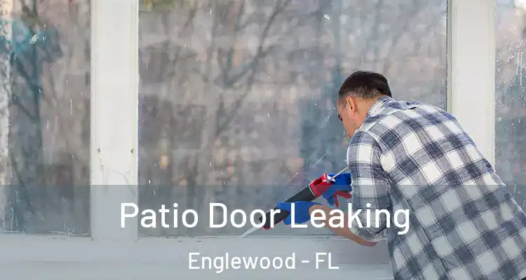 Patio Door Leaking Englewood - FL